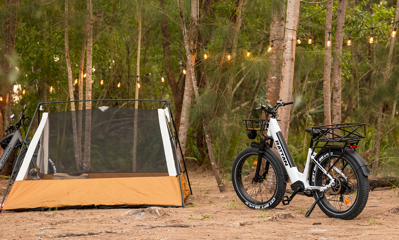 Bikepacking on an e-Bike: A Wild Camping Adventure in the Woodland