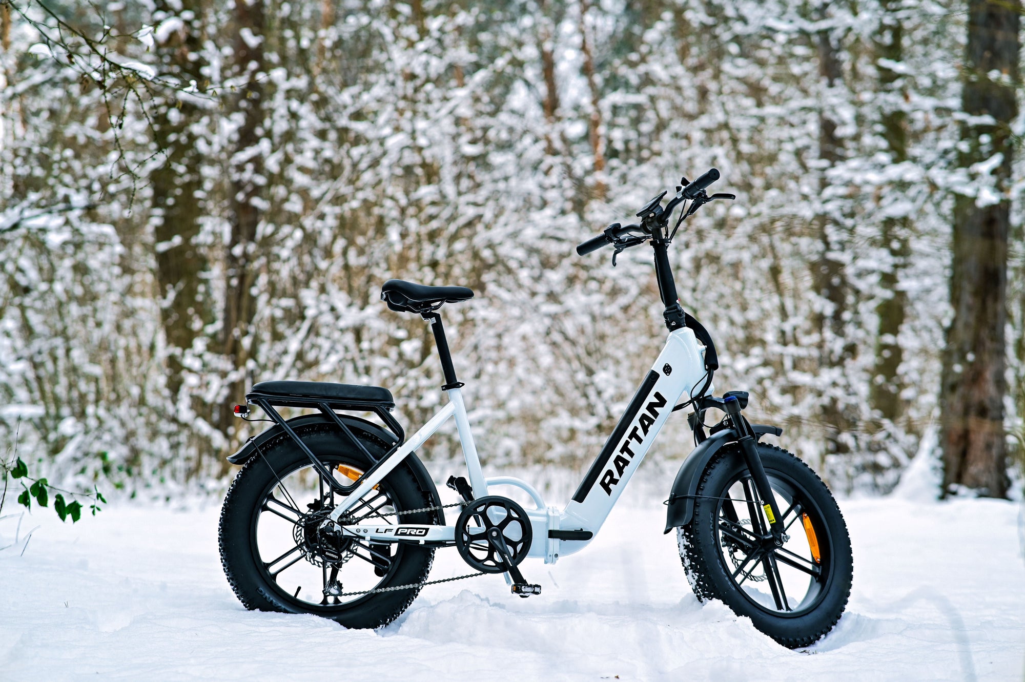 Top 5 Features That Make Rattan E-Bikes Stand Out from the Competition